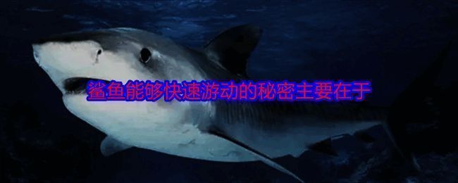 时坂紫形象图