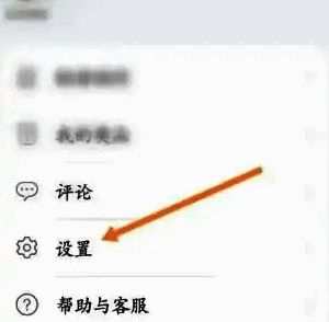 点击花瓣轻游设置页面图片