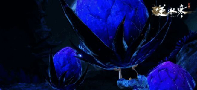 逆水寒手游玄蛟主相关图片4