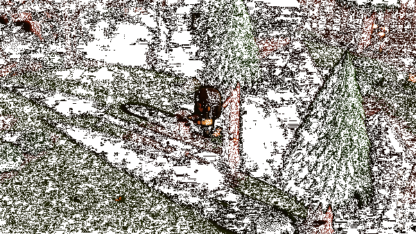 《温馨小镇》游戏动态画面1