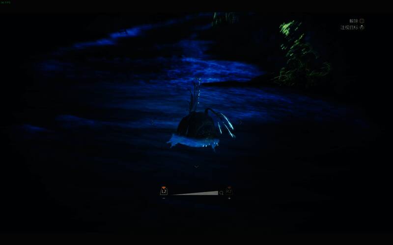 闪灯鱼相关图片2