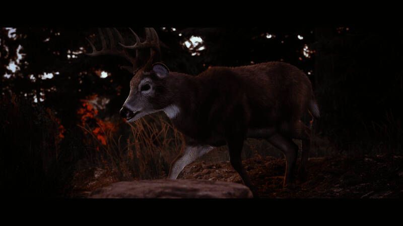 《狩猎模拟3》游戏画面1