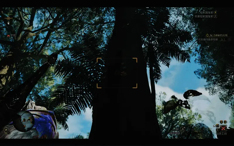 怪物猎人荒野独角仙具体位置图一