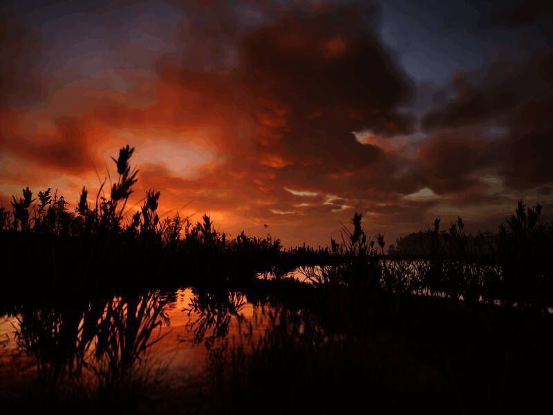 《潜行者2》游戏摄影作品2