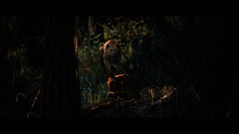 《模拟狩猎3》游戏场景截图4