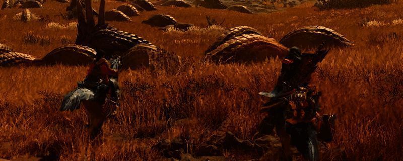 《怪物猎人：荒野》相关图片