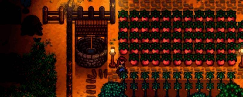 星露谷物语法师塔外观