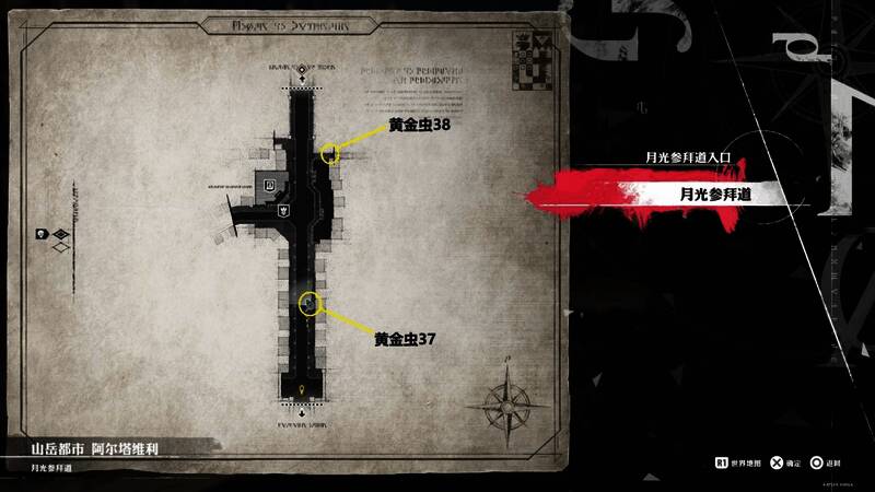 暗喻幻想黄金虫38相关场景图片2