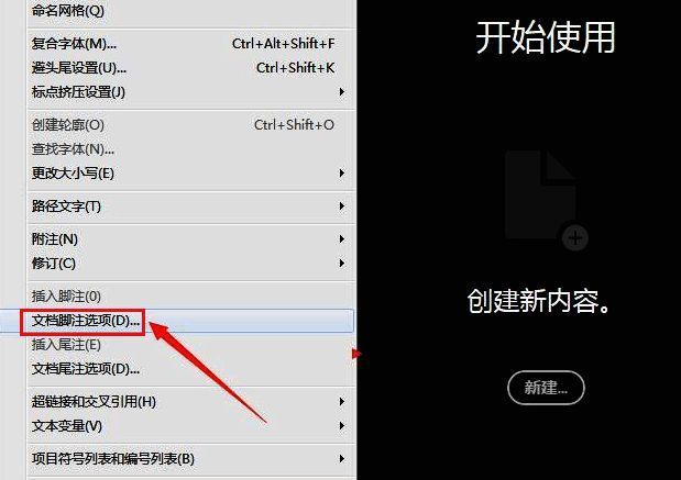 脚注选项设置面板界面，突出显示版面选项卡位置