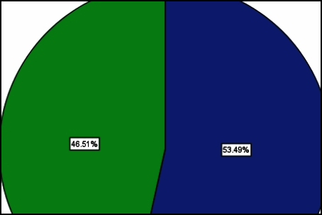 最终生成的饼图，清晰标注了男女比例的百分比数值