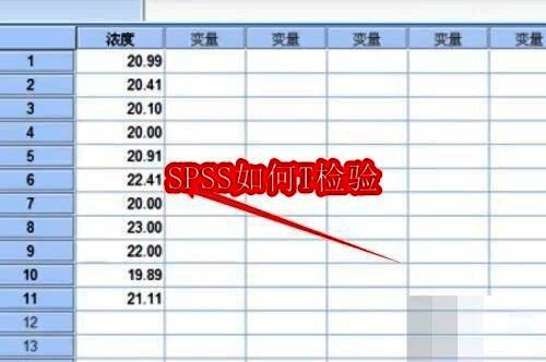 SPSS软件界面展示，左侧为变量视图，右侧为数据输入区域