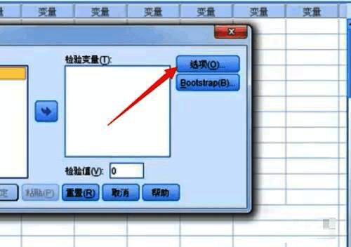 选项设置窗口截图，显示置信区间和缺失值处理选项