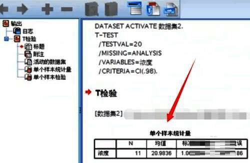 T检验结果输出示意图，包含t值、显著性水平等统计信息