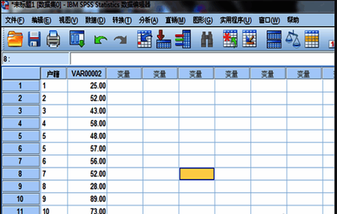 SPSS界面显示数据视图，表格中包含两列变量数据
