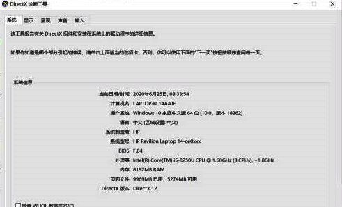 DirectX诊断工具详细信息页面，左侧为系统概述，右侧为具体参数说明