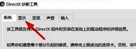 显示选项卡界面截图，包含显卡名称和驱动版本信息