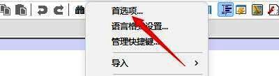 首选项选项位于设置菜单中的靠前位置，清晰可见