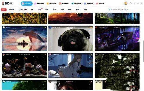 动态壁纸详情页界面，显示已选中的壁纸与使用按钮