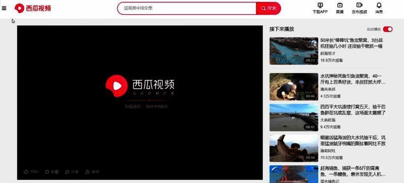 西瓜视频用户登录界面截图，显示简洁明了的登录框与提示信息