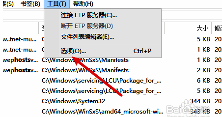 Everything设置页面左侧导航栏，历史选项被高亮显示