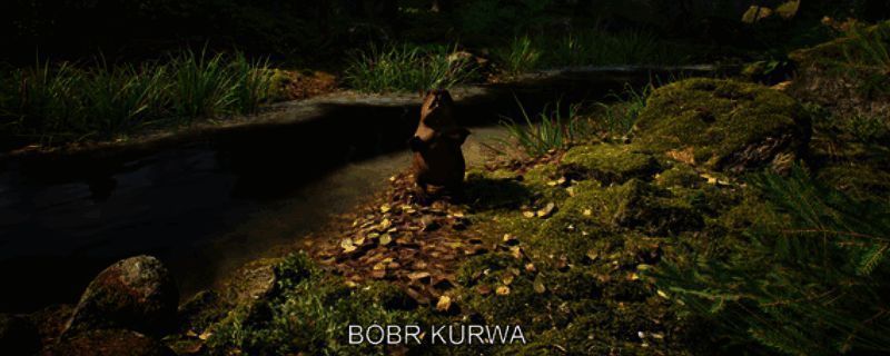 Mushroom Hunter Simulator游戏场景截图，森林环境中角色正在寻找蘑菇