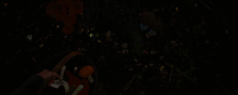 《蘑菇猎人模拟器》游戏场景截图，森林中玩家角色正在采摘各种色彩斑斓的蘑菇