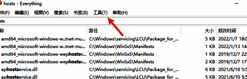Everything主界面顶部工具按钮高亮显示
