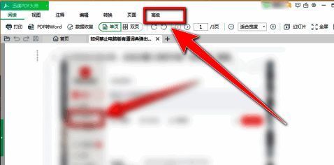 迅读PDF大师高级菜单界面，展示水印按钮位置