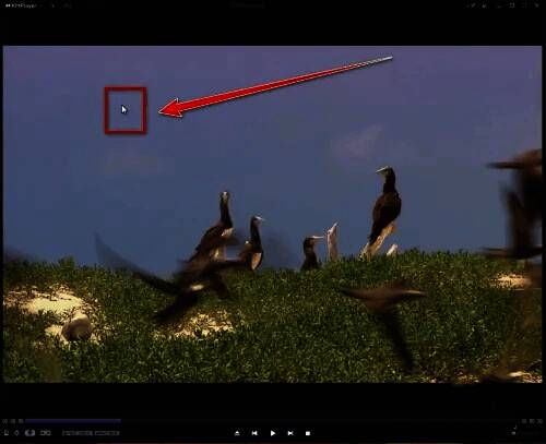 右键菜单展开状态，包含播放、字幕、音频等多个选项