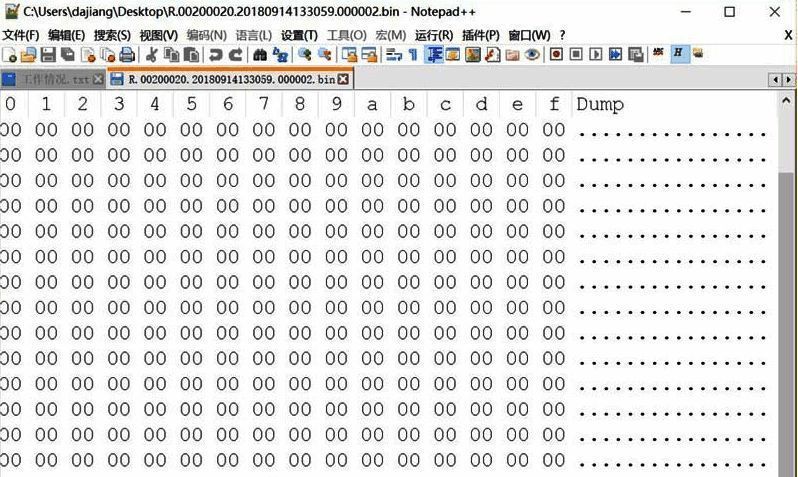 Notepad++成功显示二进制文件的十六进制内容，界面整洁清晰