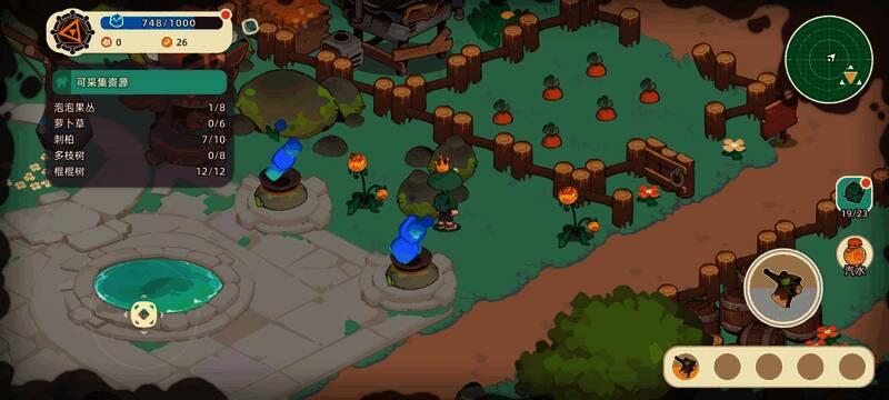 胡萝卜生长于一片沙质土地上，周围有矮草遮掩