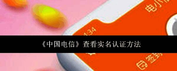 完整操作流程示意图，展示从登录到查看实名信息的全过程