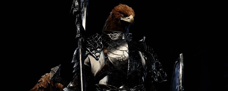 艾尔登法环黑夜君临中守护者持盾战斗场景，展现强力防御姿态