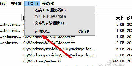 Everything设置页面左侧导航栏高亮首页选项