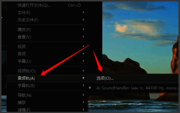 音频轨设置界面截图，展示多个可选音轨及调整选项