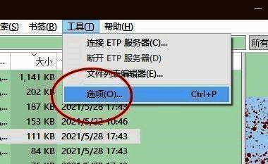 Everything软件主界面展示，左侧为目录结构，右侧为文件列表
