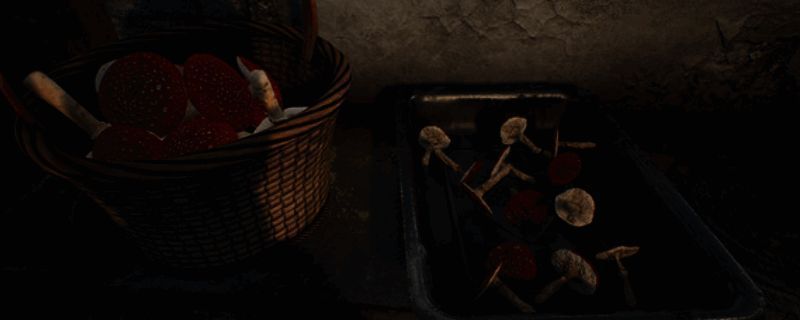 《蘑菇猎人模拟器》游戏场景截图，展示森林中采集蘑菇的宁静氛围