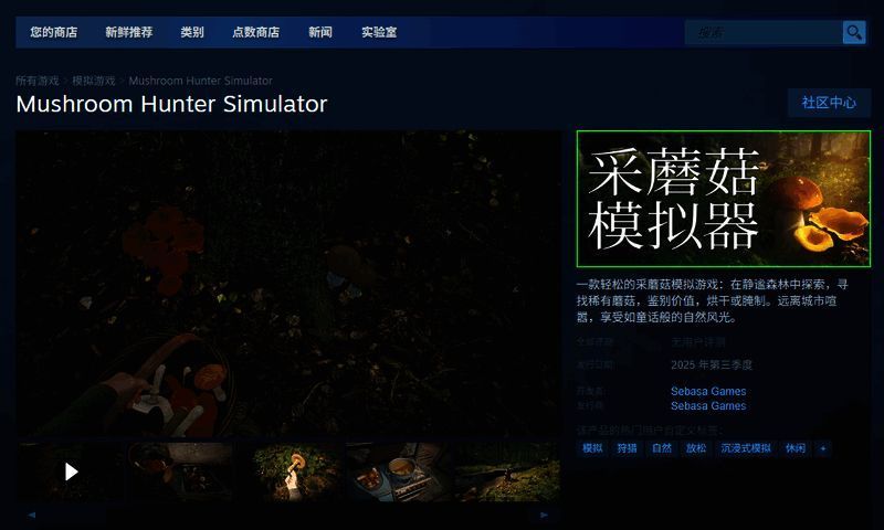 游戏Steam页面截图，展示基本介绍和购买选项