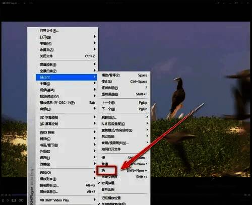 播放速度加速后的界面显示，播放进度条已向前推进，体现加速效果