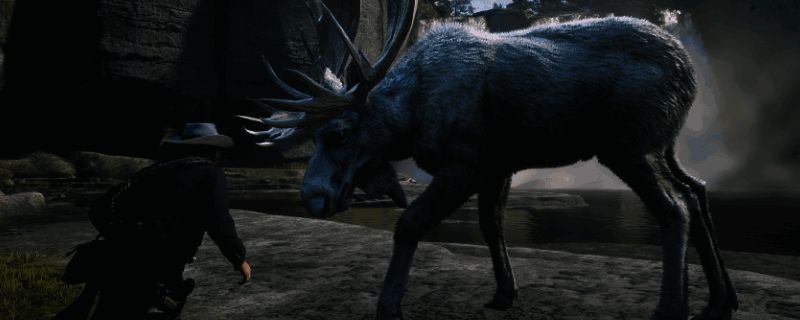 游戏界面中显示的高性能画质设置界面，展现极致视觉效果