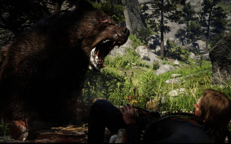 传说灰熊巴拉蒂正面特写，脸上带有明显疤痕，眼神凶狠