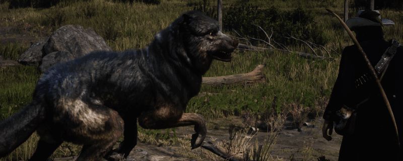 《荒野大镖客2》中传说动物栖息地实景，森林深处一只神秘生物静静潜伏