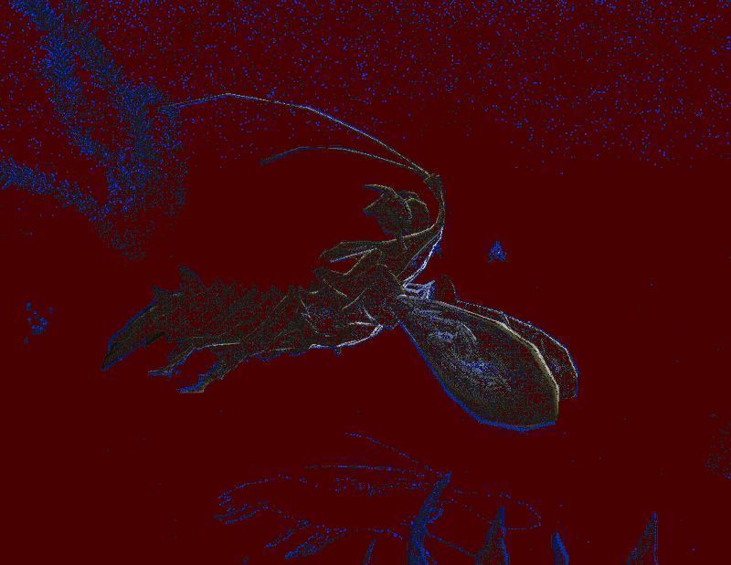 玩家捕捉海洋怪物动画，使用道具将其收服