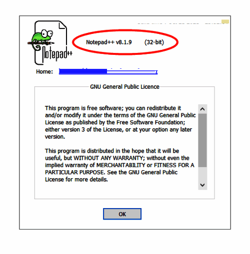 关于Notepad++窗口截图，显示详细的版本号信息