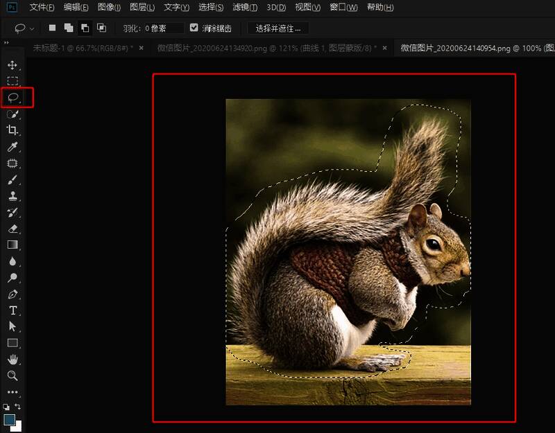 使用套索工具圈选动物主体的示意图
