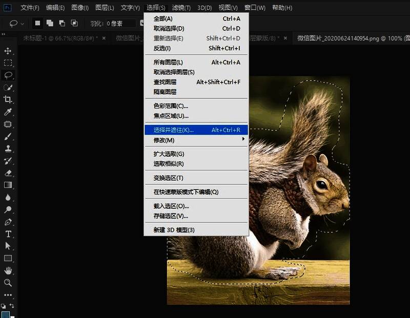 Photoshop选择并遮住功能界面展示
