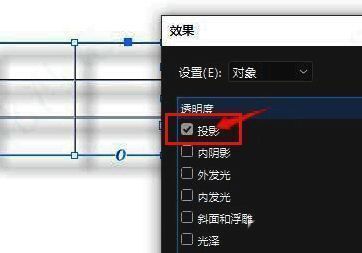 投影设置窗口截图，投影选项被激活并用红色圈出