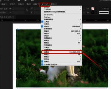 InDesign效果面板展开状态，清晰显示各项参数选项