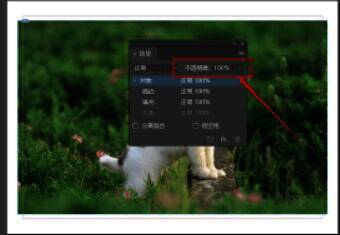效果面板中不透明度设置界面，滑块已调整至40%