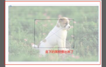 图片经过透明度调整后，呈现半透明视觉效果